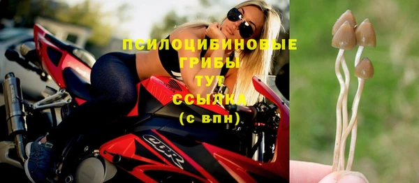 сатива Алексин