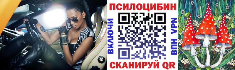 Купить где  Сертолово  Псилоцибиновые грибы Magic Shrooms 